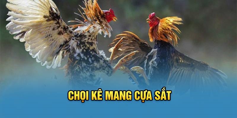 Đá gà cựa sắt 33Win