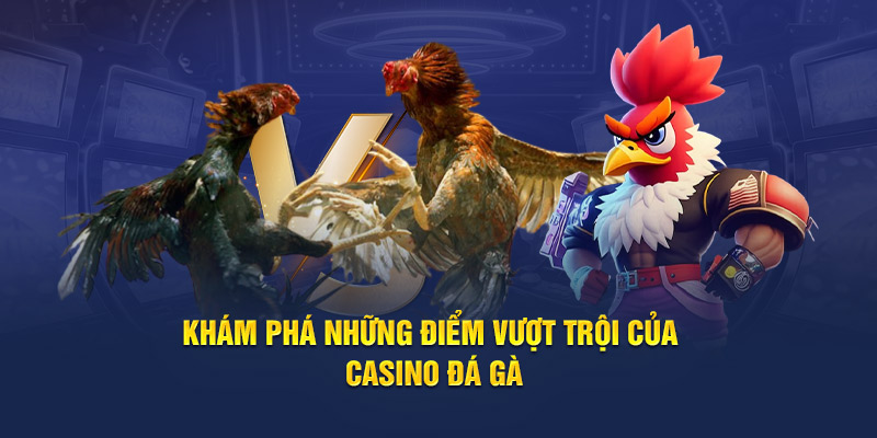 Khám phá những điểm vượt trội của casino đá gà 